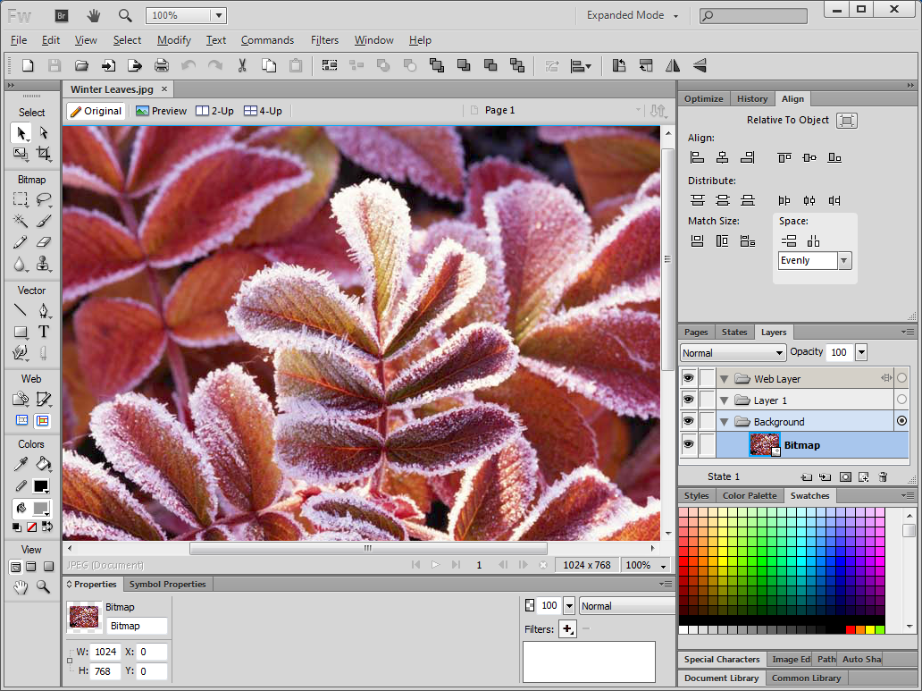 Adobe fireworks. Fireworks программа. Adobe Fireworks cs6. Adobe Fireworks растровый или векторный.