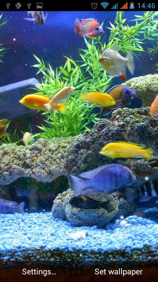 Free Aquarium Live Wallpapers for Android