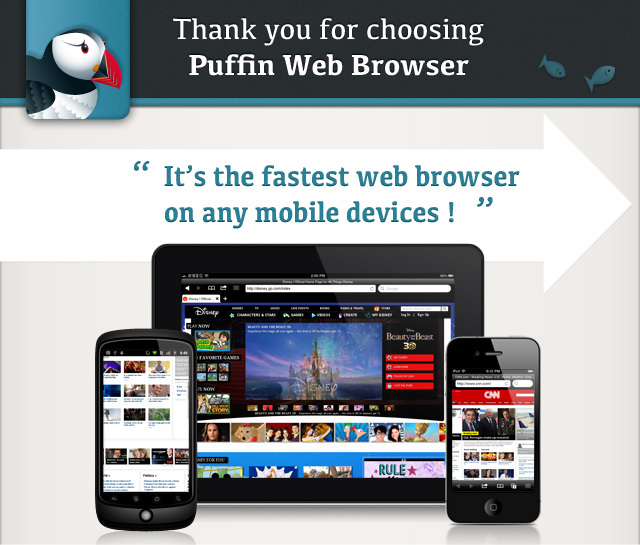 puffin tv browser review