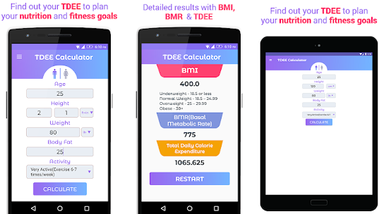 katch mcardle bmr calculator